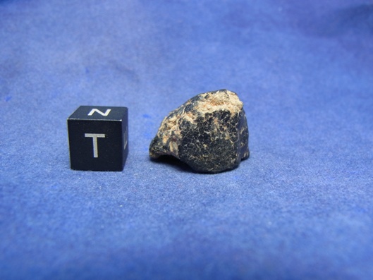 NWA 8339 Eucrite Meteorite