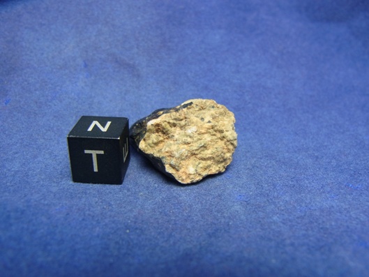 NWA 8339 Eucrite Meteorite