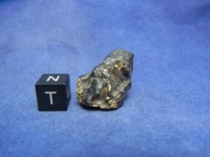 NWA 8339 Eucrite Meteorite