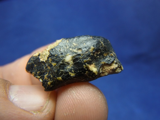 NWA 8339 Eucrite Meteorite