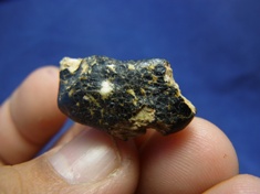 NWA 8339 Eucrite Meteorite