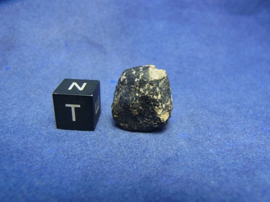 NWA 8339 Eucrite Meteorite