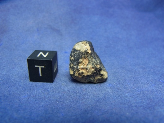 NWA 8339 Eucrite Meteorite