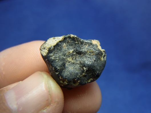 NWA 8339 Eucrite Meteorite