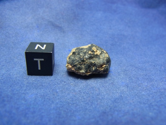 NWA 8339 Eucrite Meteorite