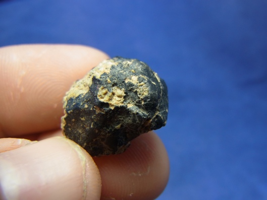 NWA 8339 Eucrite Meteorite