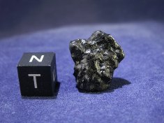 New Fall Shergottite Meteorites