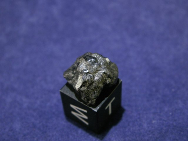 New Fall Shergottite Meteorites