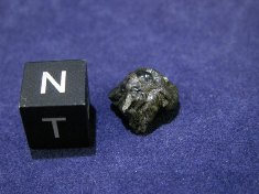 New Fall Shergottite Meteorites