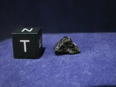 New Fall Shergottite Meteorites