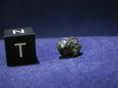 New Fall Shergottite Meteorites