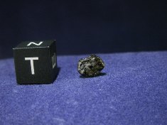 New Fall Shergottite Meteorites