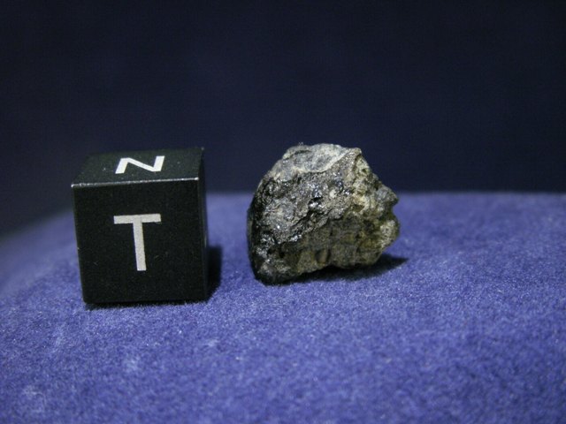 New Fall Shergottite Meteorites