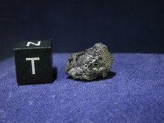 New Fall Shergottite Meteorites