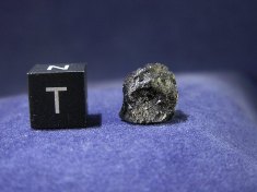 New Fall Shergottite Meteorites