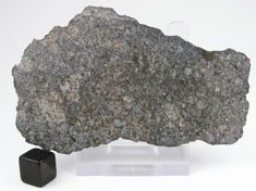 NWA 869 chondrite meteorite