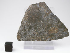 NWA 869 chondrite meteorite