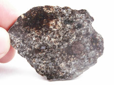 NWA 869 chondrite meteorite