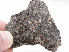 NWA 869 chondrite meteorite