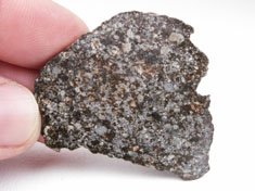 NWA 869 chondrite meteorite