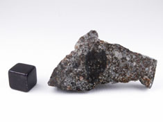 NWA 869 chondrite meteorite