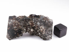 NWA 869 chondrite meteorite