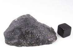 NWA 869 chondrite meteorite