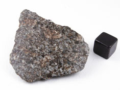 NWA 869 chondrite meteorite