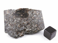 NWA 869 chondrite meteorite