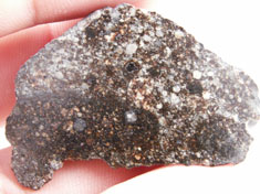 NWA 869 chondrite meteorite