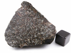 NWA 869 chondrite meteorite