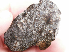 NWA 869 chondrite meteorite