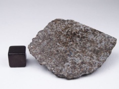 NWA 869 chondrite meteorite