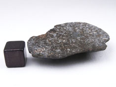 NWA 869 chondrite meteorite