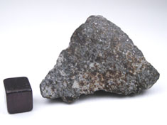 NWA 869 chondrite meteorite