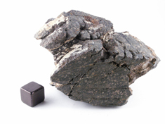 NWA 1465 CV3 meteorite