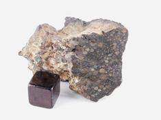 NWA 1465 CV3 meteorite