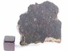 NWA 1465 CV3 meteorite