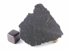 NWA 1465 CV3 meteorite