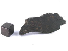 NWA 1465 CV3 meteorite