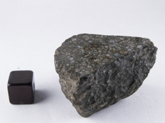 NWA 779 CV meteorite