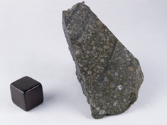 NWA 779 CV meteorite