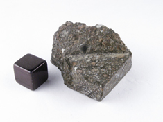 NWA 779 CV meteorite