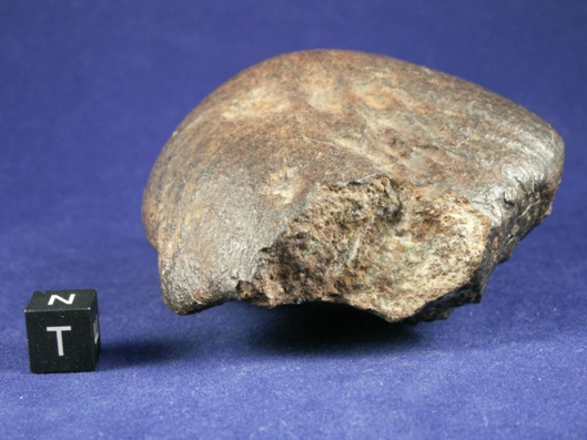 Oriented Meteorites