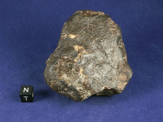 Oriented Meteorites