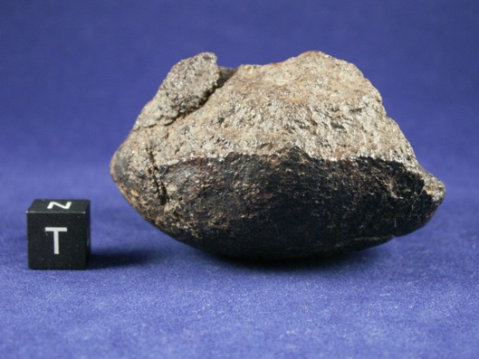 Oriented Meteorites