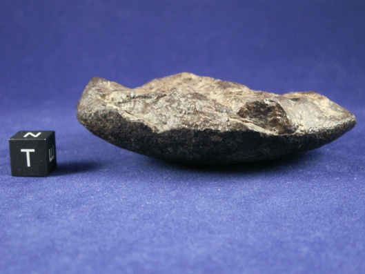 Oriented Meteorites