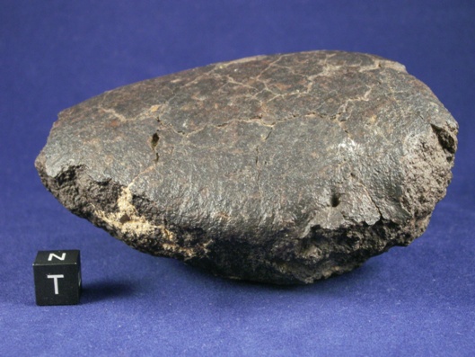 Oriented Meteorites