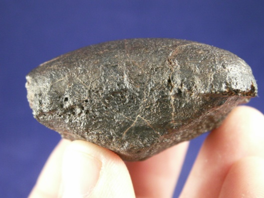 Oriented Meteorites