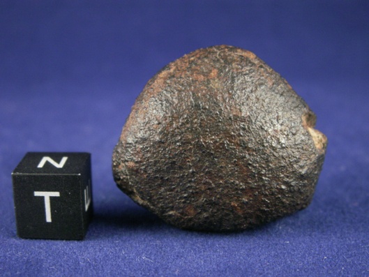 Oriented Meteorites